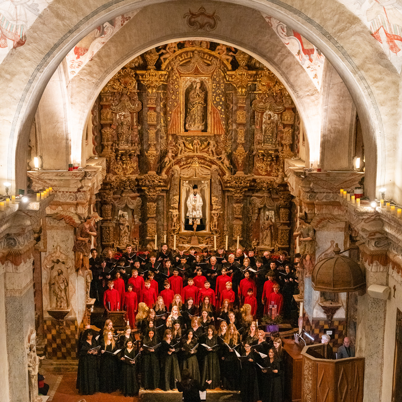 Patronato's Christmas at San Xavier
