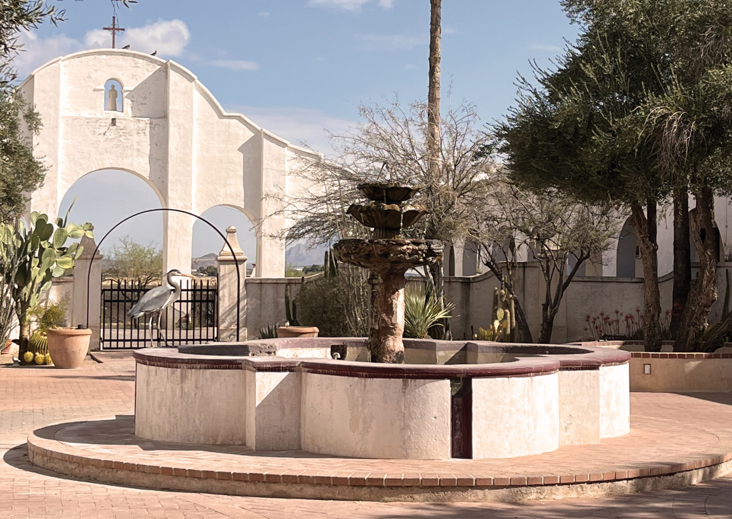 courtyard_heron_2sm Patronato's Christmas at San Xavier photo by Balfour Walker Photography 2016